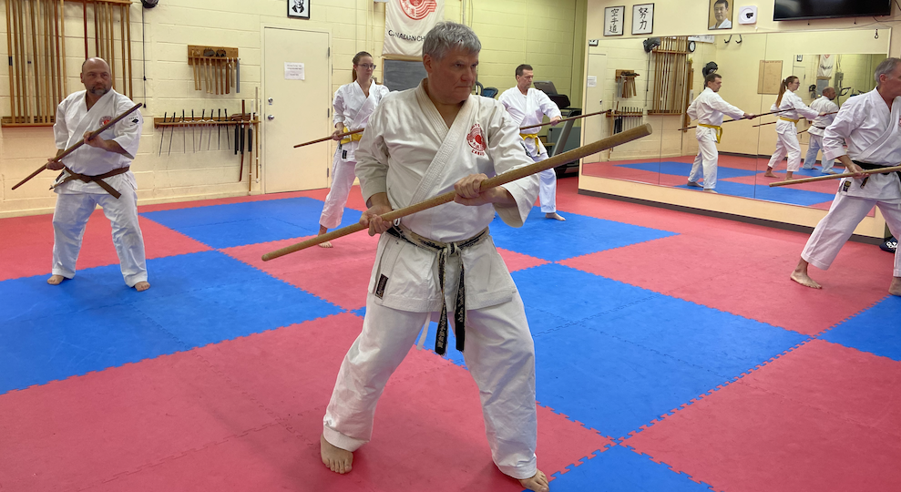 Ottawa Kobujutsu Class feature Okinawan Bo training.
